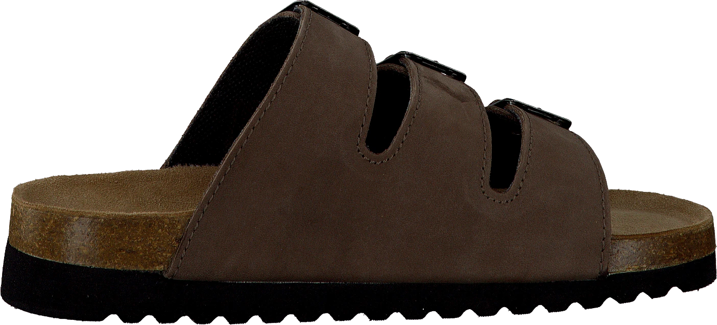 Shell Brown 2 Shell Brown - Image 2