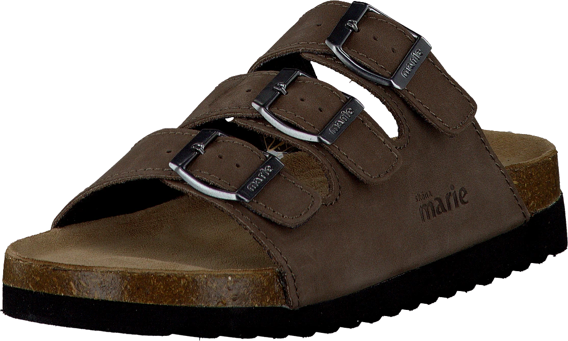 Shell Brown 3 Shell Brown - Image 3