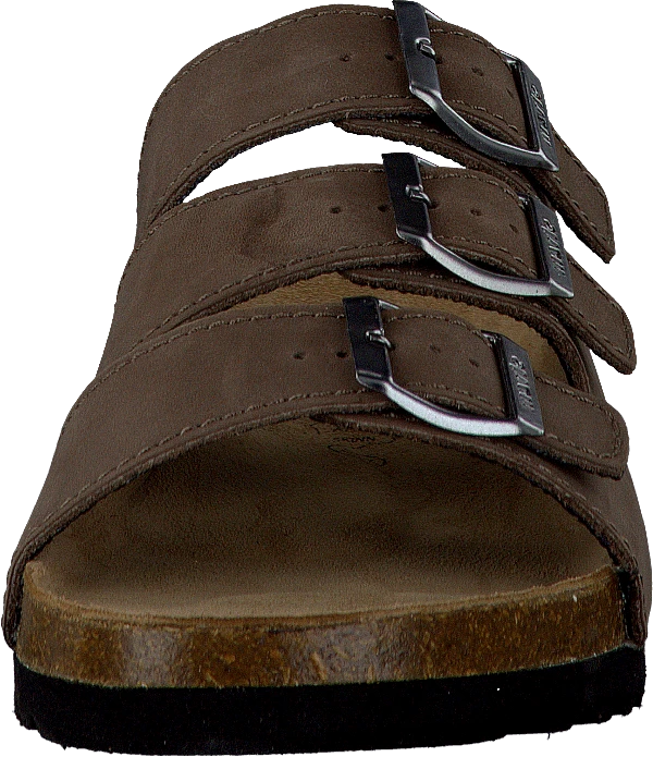 Shell Brown 4 Shell Brown - Image 4