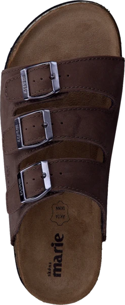 Shell Brown 12 Shell Brown -Duffy kauppa 25218 02 5