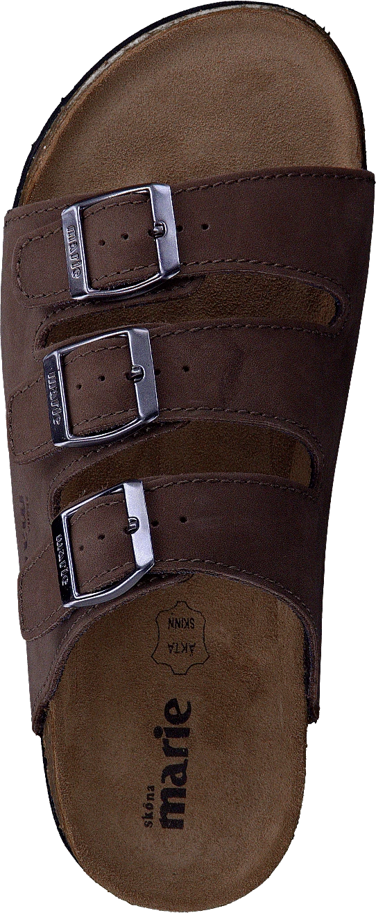 Shell Brown 6 Shell Brown - Image 6