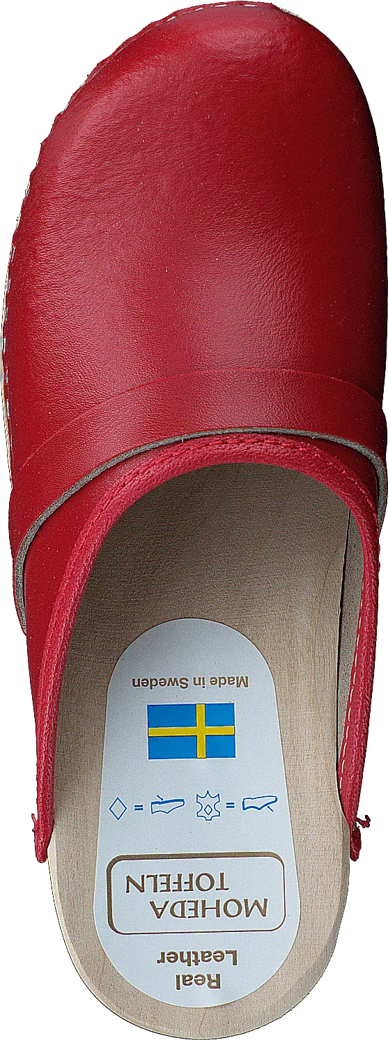 Lina 6 Lina - Image 6