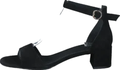 Billi Bi 6634 Black Suede