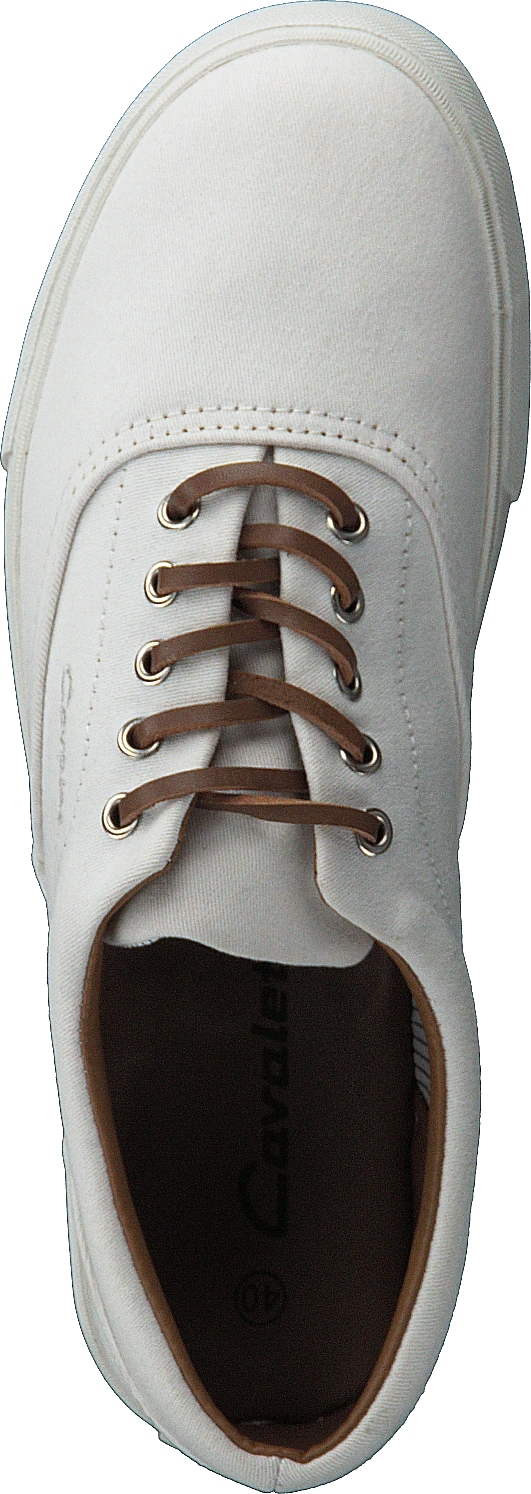 Billy White 6 Billy White - Image 6