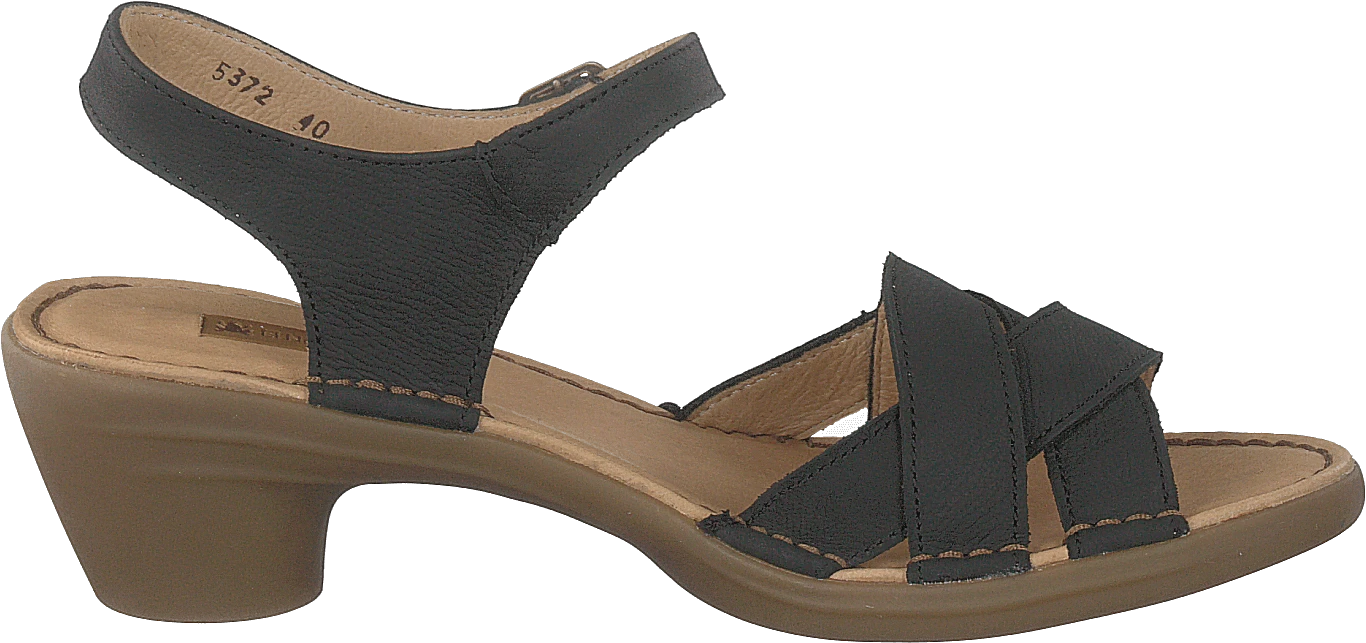 El Naturalista Aqua Black 2 El Naturalista Aqua Black - Image 2