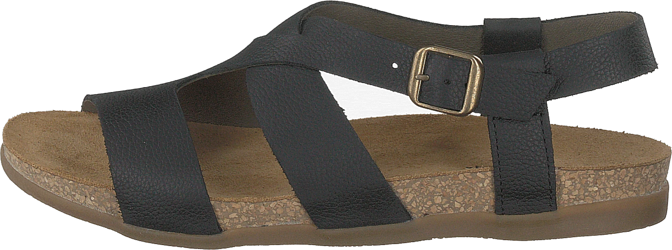 El Naturalista Zumaia Black 1 El Naturalista Zumaia Black