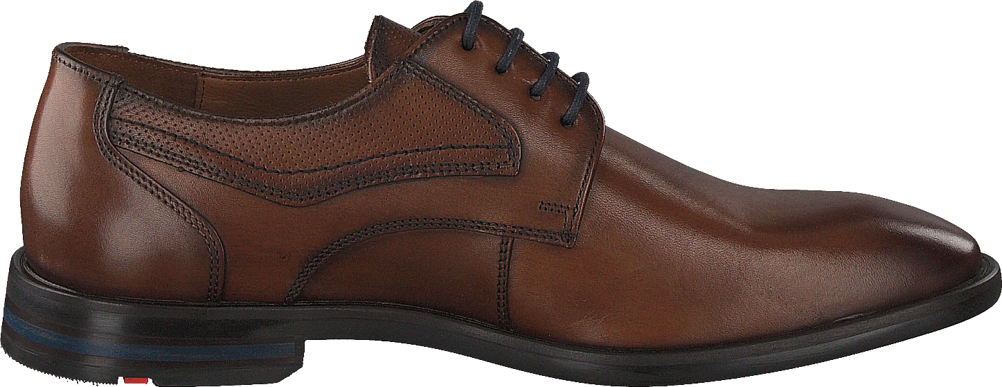 Lloyd Dane Tdm 2 Lloyd Dane Tdm - Image 2