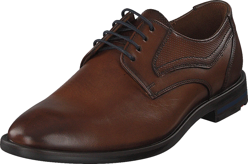 Lloyd Dane Tdm 3 Lloyd Dane Tdm - Image 3