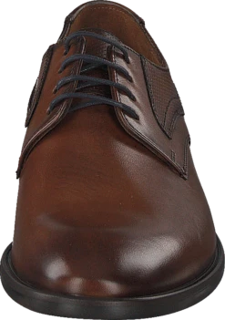 Lloyd Dane Tdm 10 Lloyd Dane Tdm -Duffy kauppa 60131 12 3