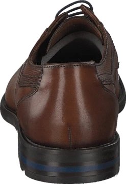 Lloyd Dane Tdm 11 Lloyd Dane Tdm -Duffy kauppa 60131 12 4