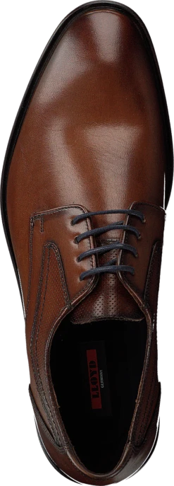 Lloyd Dane Tdm 12 Lloyd Dane Tdm -Duffy kauppa 60131 12 5