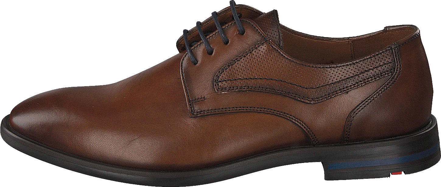 Lloyd Dane Tdm 1 Lloyd Dane Tdm