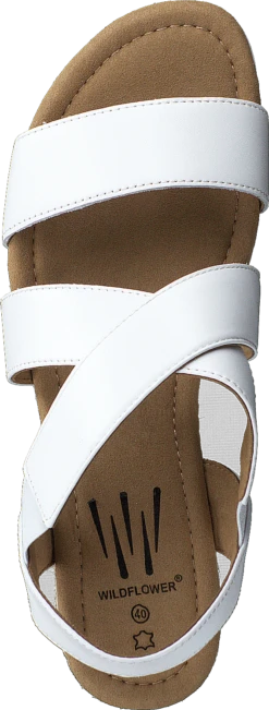 Cuesta White 12 Cuesta White -Duffy kauppa 60134 51 5