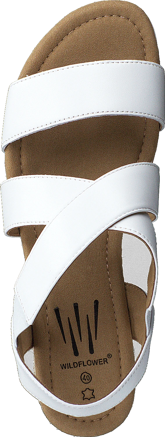 Cuesta White 6 Cuesta White - Image 6