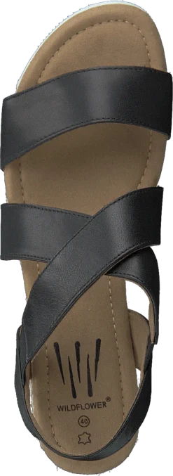 Cuesta Black -Duffy kauppa 60134 52 5