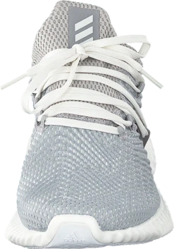 ADIDAS Alphabounce Instinct W Gretwo/clowhi/grethr -Duffy kauppa 60139 92 3