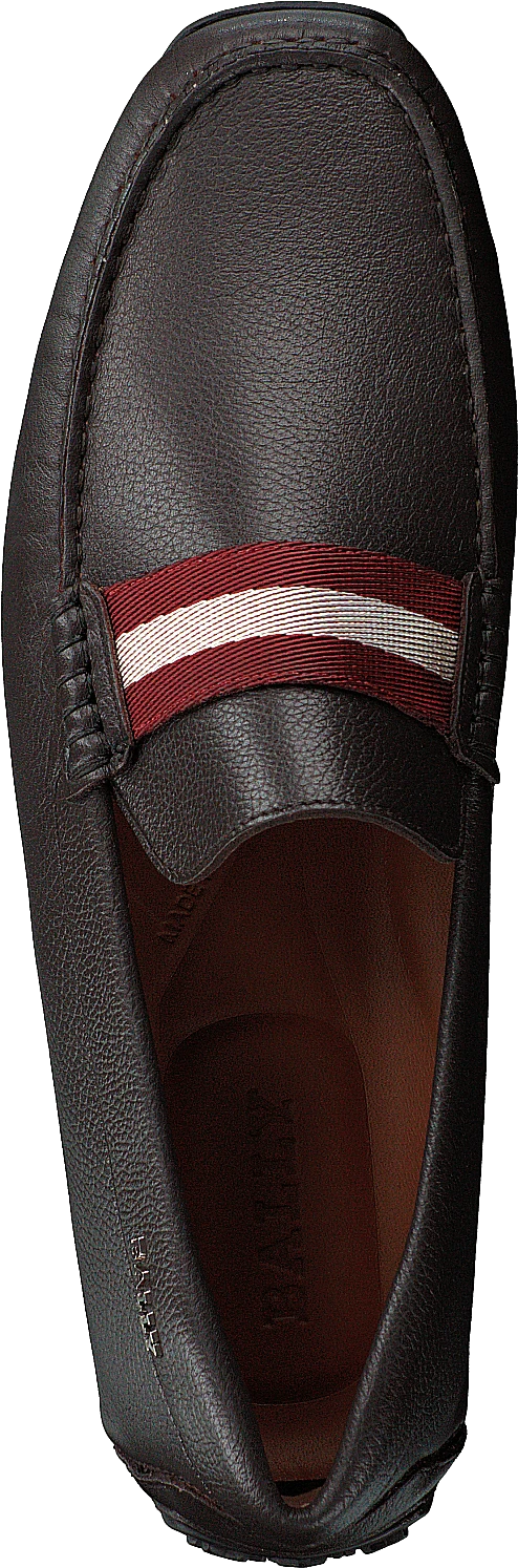 Bally Pearce Rodeo - Safari 6 Bally Pearce Rodeo - Safari - Image 6