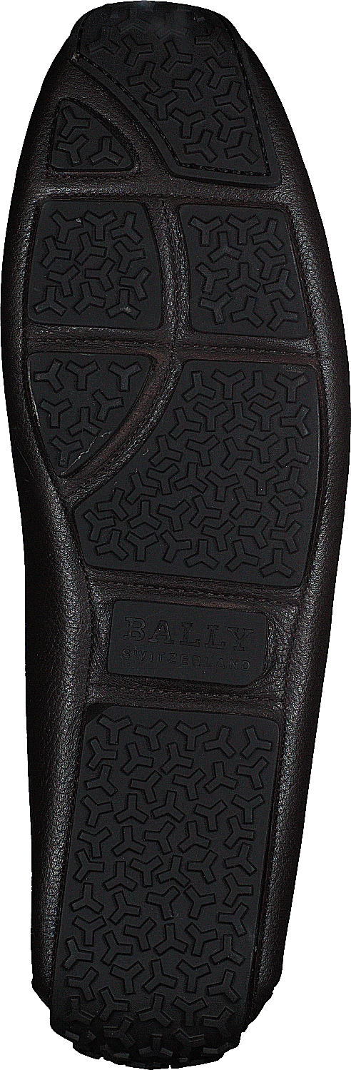 Bally Pearce Rodeo - Safari 7 Bally Pearce Rodeo - Safari - Image 7