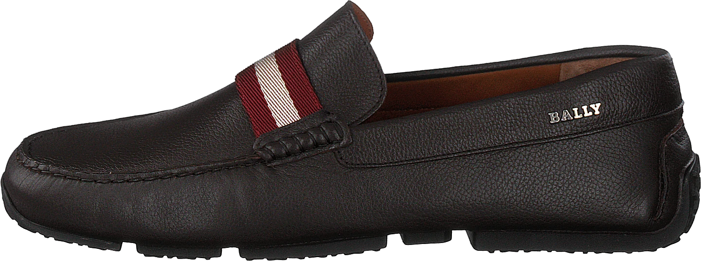 Bally Pearce Rodeo - Safari 1 Bally Pearce Rodeo - Safari