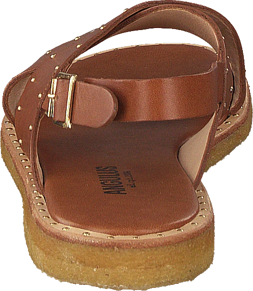 ANGULUS Sandal With Studs Tan 5 ANGULUS Sandal With Studs Tan - Image 5