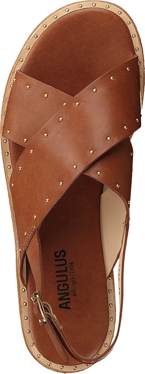 ANGULUS Sandal With Studs Tan 6 ANGULUS Sandal With Studs Tan - Image 6