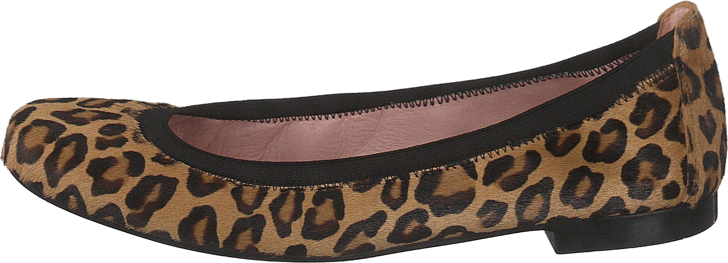 Pretty Ballerinas 37191 Leo Arena 1 Pretty Ballerinas 37191 Leo Arena