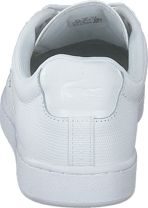 Lacoste Carnaby Evo 119 5 Sma Wht/wht 5 Lacoste Carnaby Evo 119 5 Sma Wht/wht - Image 5