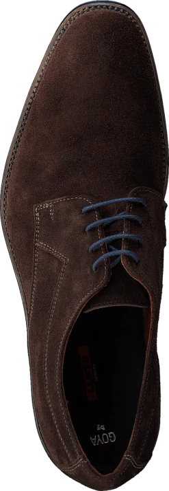 Lloyd Goya Pepe 12 Lloyd Goya Pepe -Duffy kauppa 60187 50 5