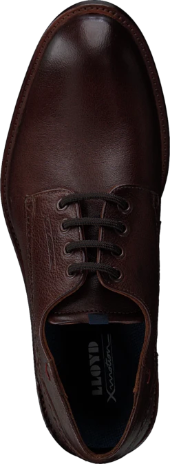 Lloyd Moreno Cigar -Duffy kauppa 60187 52 5