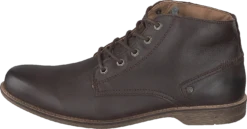 Sneaky Steve Crasher Brown