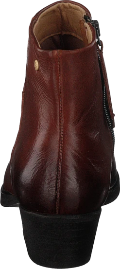 Sneaky Steve Dashed Cognac -Duffy kauppa 60188 30 4