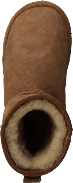 Shepherd Mora Chestnut -Duffy kauppa 60196 22 5