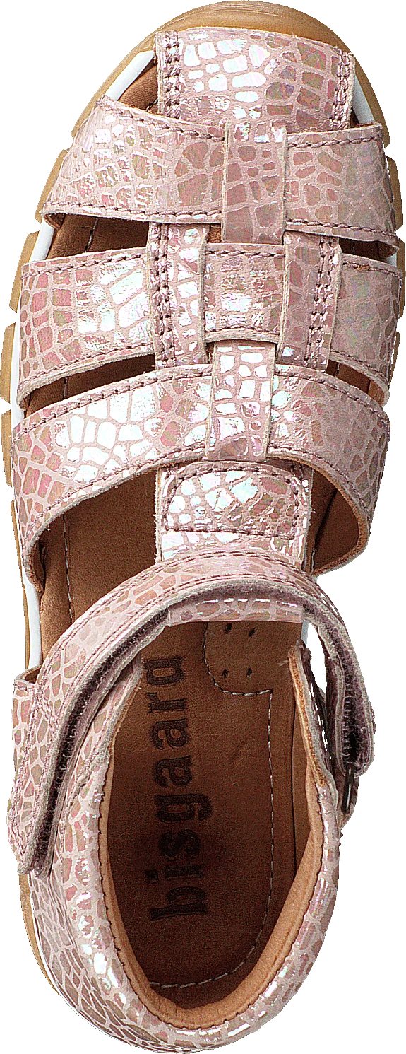 Bisgaard Billie Shell 6 Bisgaard Billie Shell - Image 6