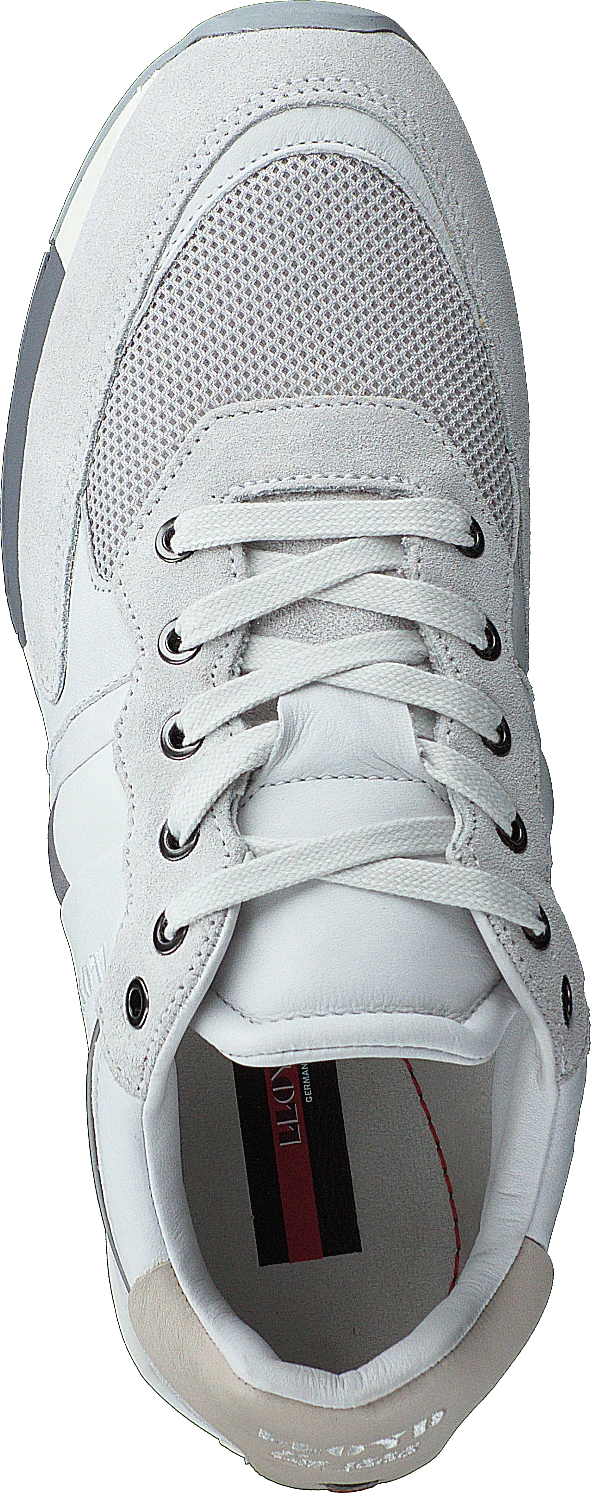 Lloyd Egan White 6 Lloyd Egan White - Image 6