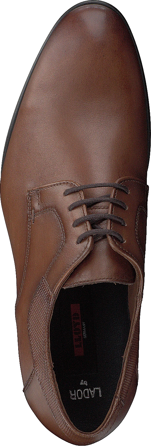 Lloyd Lador Cognac 6 Lloyd Lador Cognac - Image 6