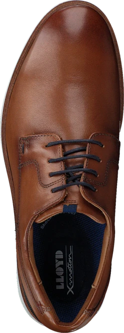 Lloyd Milano Whisky/midnight -Duffy kauppa 60225 12 5