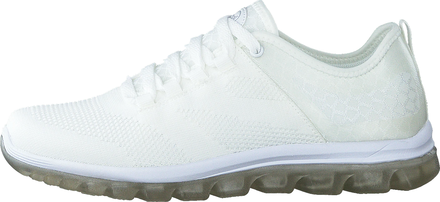 Scholl Darwin White 1 Scholl Darwin White