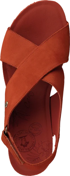 Panama Jack Valeska Basics Nobuck Teja/tile -Duffy kauppa 60237 52 5