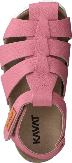 Kavat Gopshus Ep Brandied Apricot -Duffy kauppa 60244 83 5