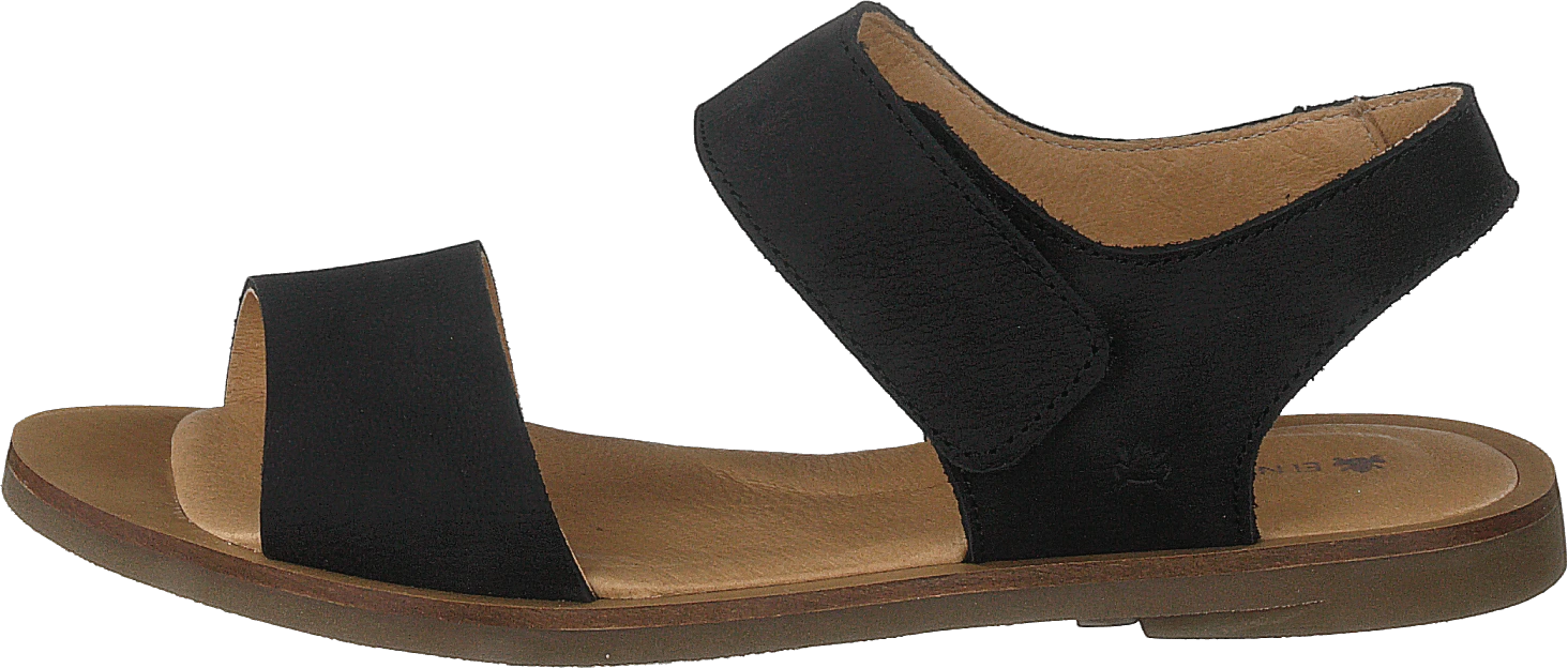 El Naturalista Tulip Ibón Black 1 El Naturalista Tulip Ibón Black