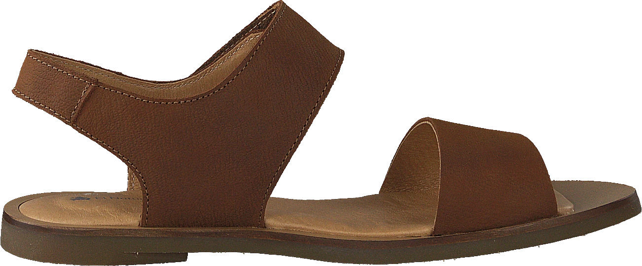 El Naturalista Tulip Ibón Wood 2 El Naturalista Tulip Ibón Wood - Image 2