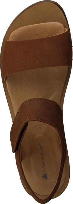 El Naturalista Tulip Ibón Wood 12 El Naturalista Tulip Ibón Wood -Duffy kauppa 60249 08 5