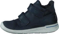 ECCO First Night Sky