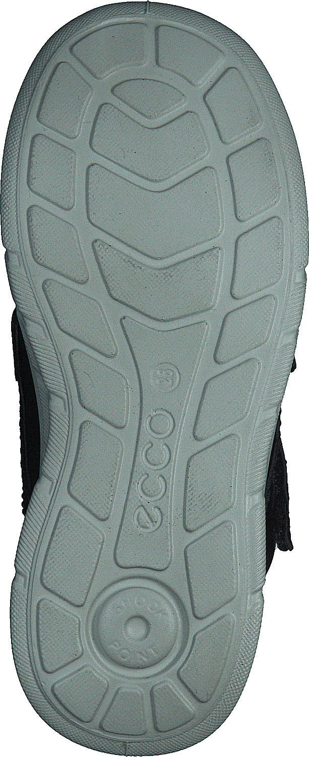 ECCO First Night Sky 7 ECCO First Night Sky - Image 7