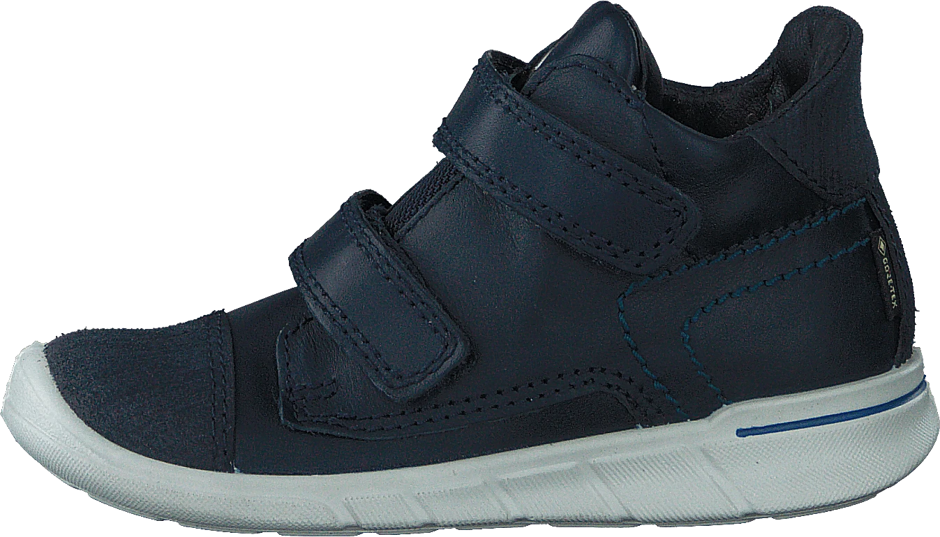 ECCO First Night Sky 1 ECCO First Night Sky