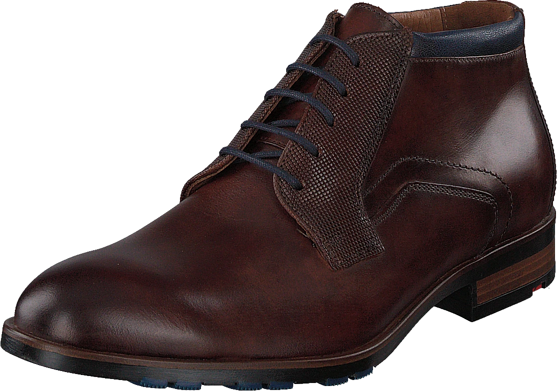 Lloyd Jaron Brandy/midnight 3 Lloyd Jaron Brandy/midnight - Image 3