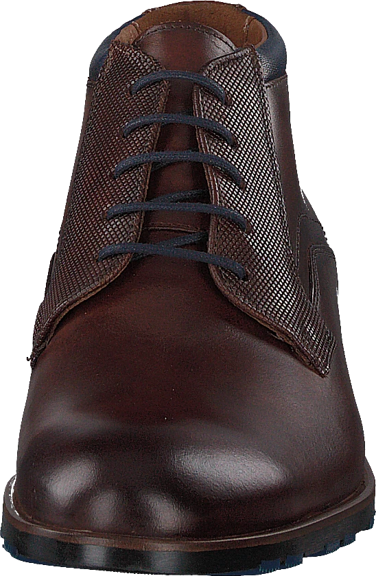 Lloyd Jaron Brandy/midnight 4 Lloyd Jaron Brandy/midnight - Image 4