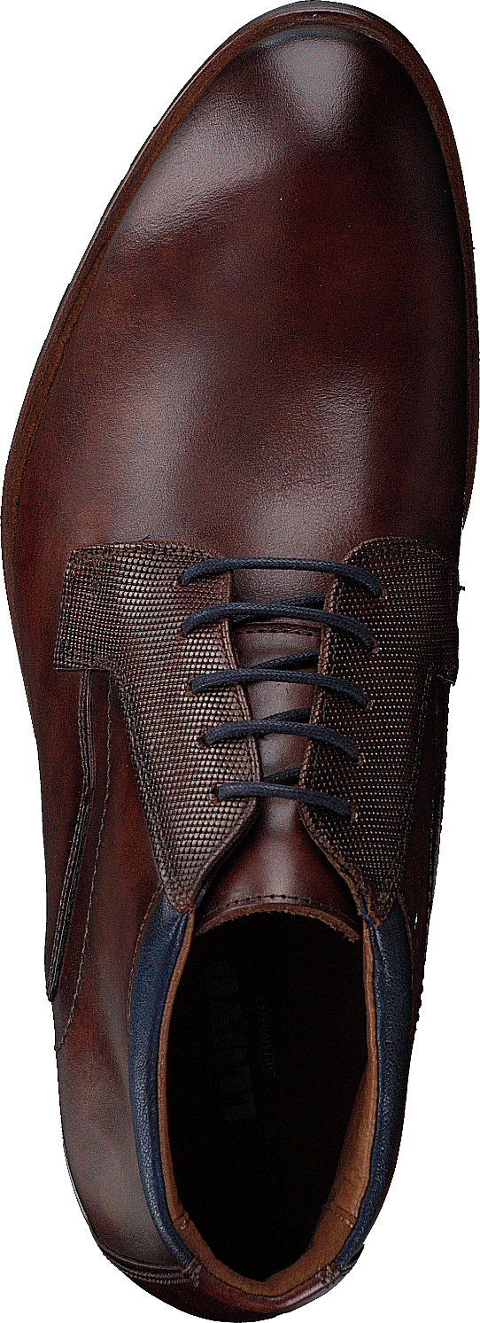 Lloyd Jaron Brandy/midnight 6 Lloyd Jaron Brandy/midnight - Image 6