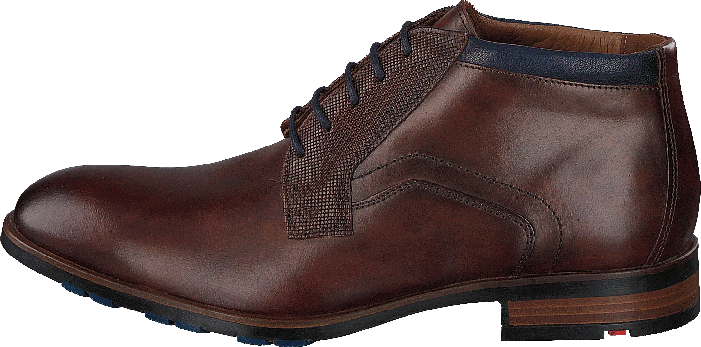 Lloyd Jaron Brandy/midnight 1 Lloyd Jaron Brandy/midnight