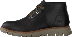 CAT Sidcup Wp Coffee Bean